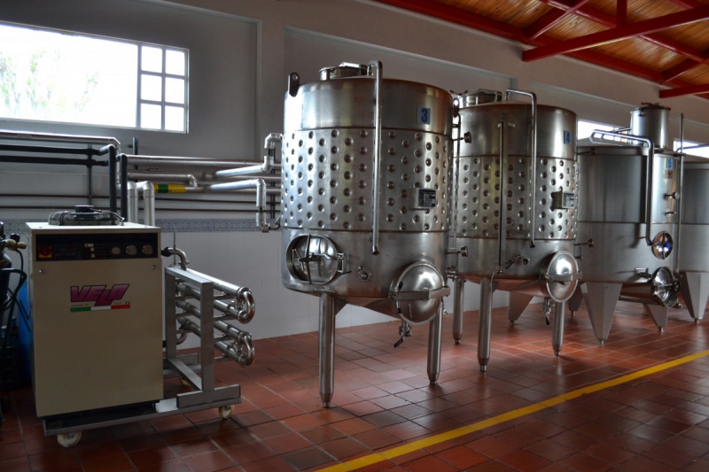 cave-ARTIGNOSC SUR VERDON-min_wine_production_cantine_winery_drink_alcohol_vine_beverage-902036